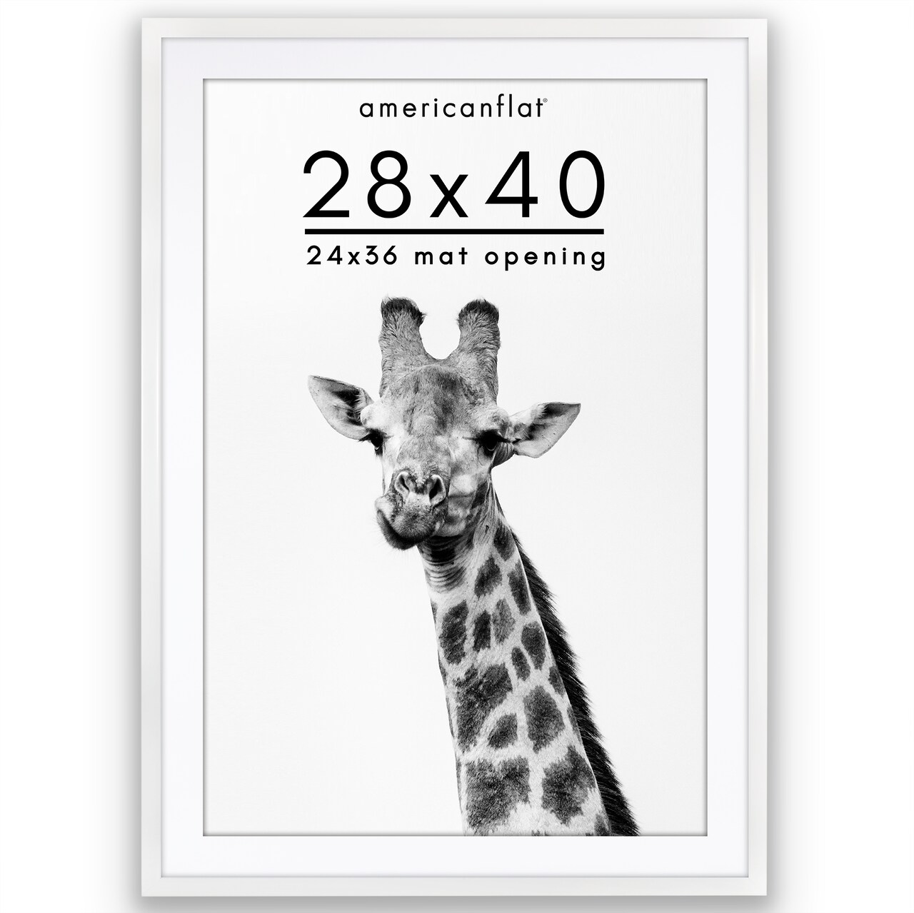 Americanflat Gallery-Style Picture Frame with Mat - Showcase Artwork, Prints, and Photos - Shatter Resistant Glass - Hanging Hardware with Drywall Anchor